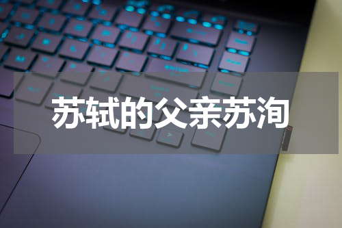 苏轼的父亲苏洵