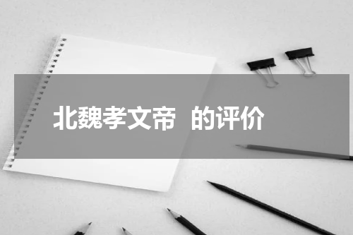 北魏孝文帝  的评价