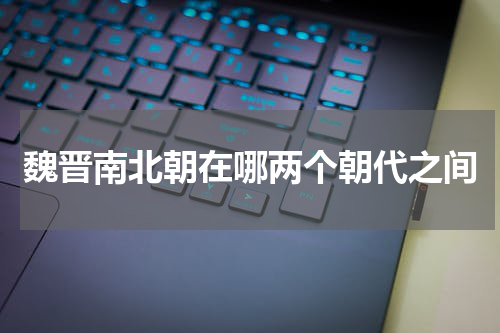 魏晋南北朝在哪两个朝代之间