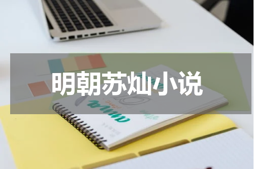明朝苏灿小说