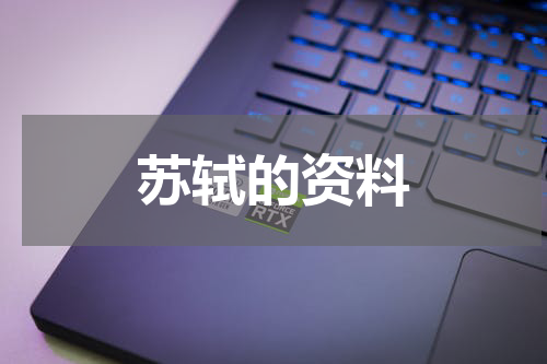 苏轼的资料