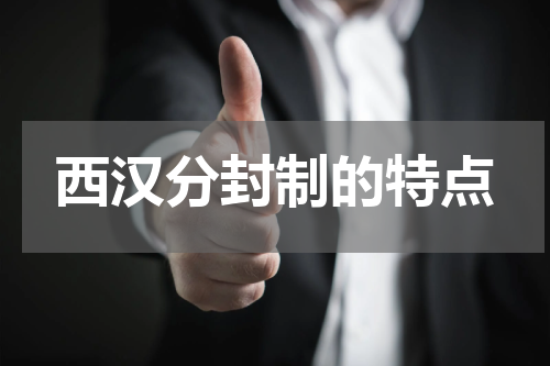 西汉分封制的特点