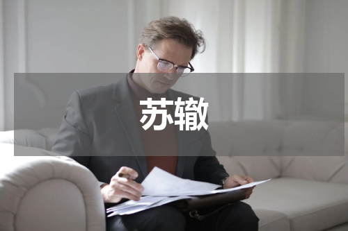 苏辙
