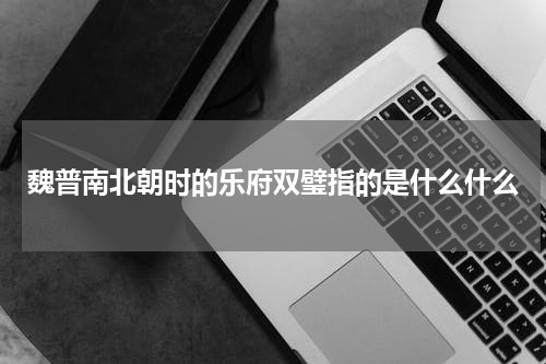 魏普南北朝时的乐府双璧指的是什么什么