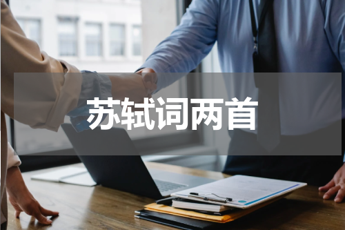 苏轼词两首