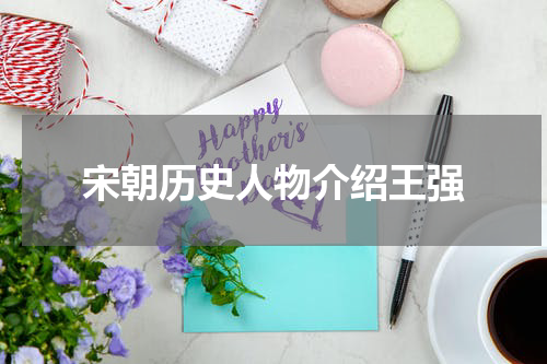 宋朝历史人物介绍王强