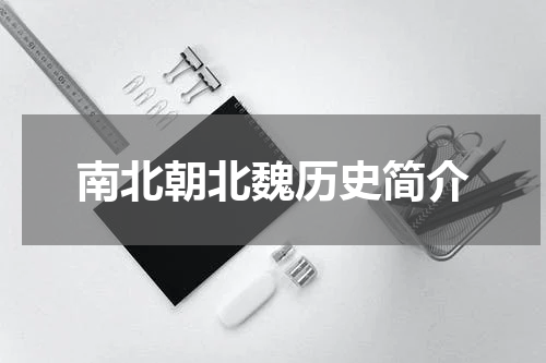 南北朝北魏历史简介