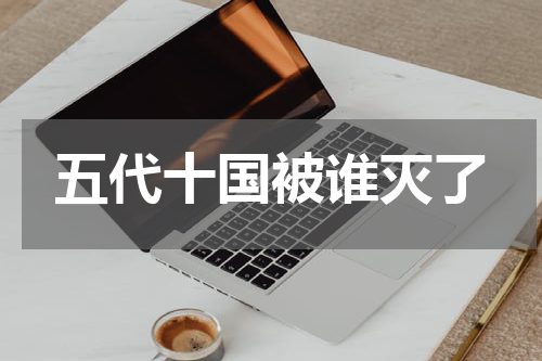 五代十国被谁灭了