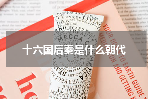 十六国后秦是什么朝代