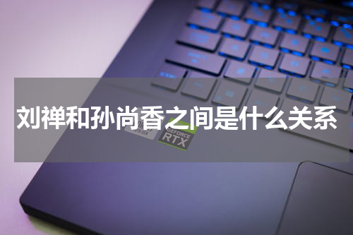 刘禅和孙尚香之间是什么关系