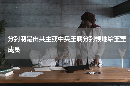 分封制是由共主或中央王朝分封领地给王室成员
