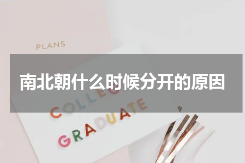 南北朝什么时候分开的原因