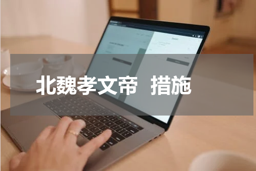北魏孝文帝  措施