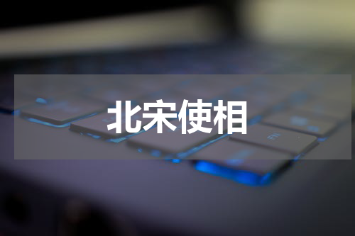 北宋使相