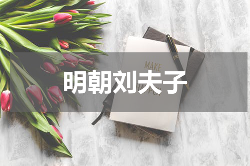 明朝刘夫子