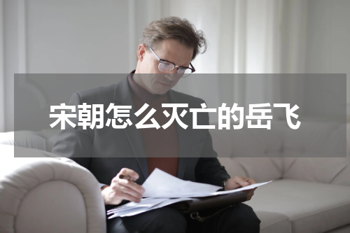 宋朝怎么灭亡的岳飞