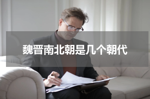 魏晋南北朝是几个朝代