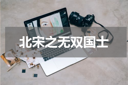 北宋之无双国士