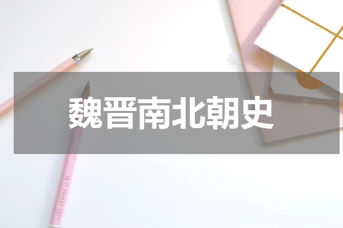 魏晋南北朝史