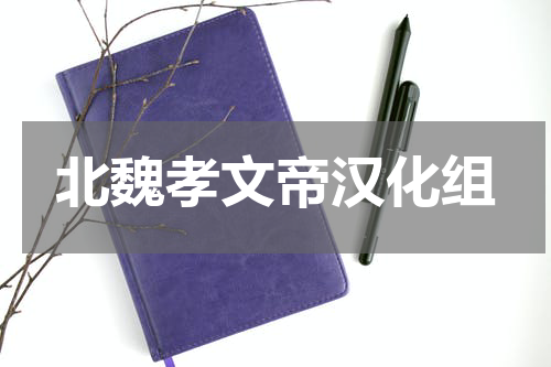 北魏孝文帝汉化组