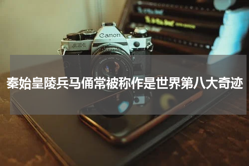 秦始皇陵兵马俑常被称作是世界第八大奇迹