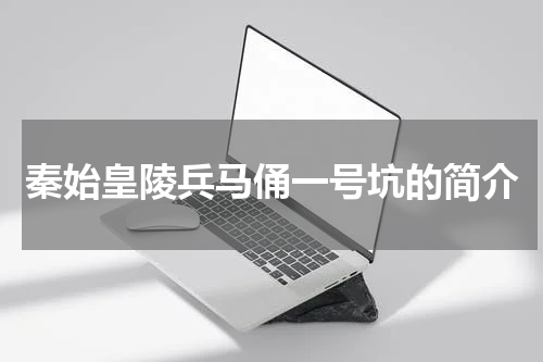 秦始皇陵兵马俑一号坑的简介