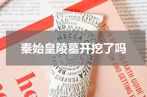 秦始皇陵墓开挖了吗