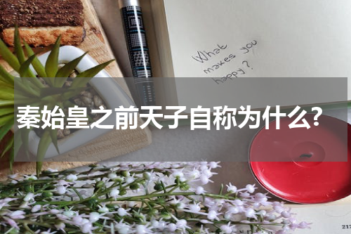 秦始皇之前天子自称为什么?