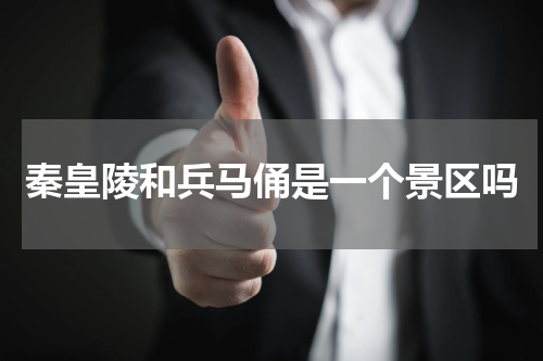 秦皇陵和兵马俑是一个景区吗