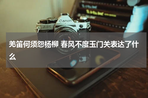 羌笛何须怨杨柳 春风不度玉门关表达了什么