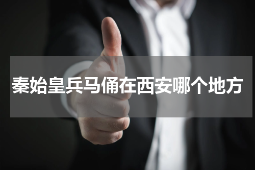 秦始皇兵马俑在西安哪个地方