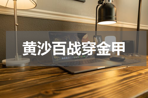 黄沙百战穿金甲