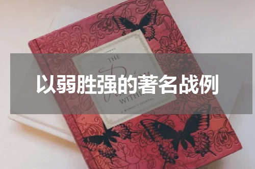 以弱胜强的著名战例