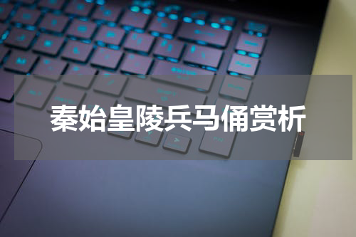 秦始皇陵兵马俑赏析