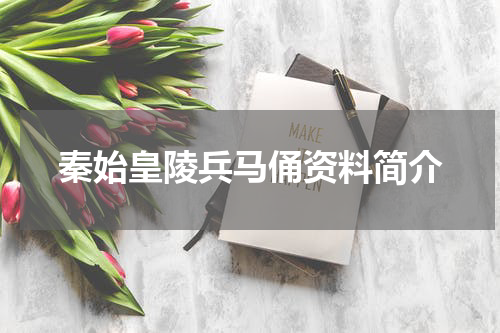 秦始皇陵兵马俑资料简介