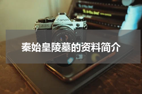 秦始皇陵墓的资料简介