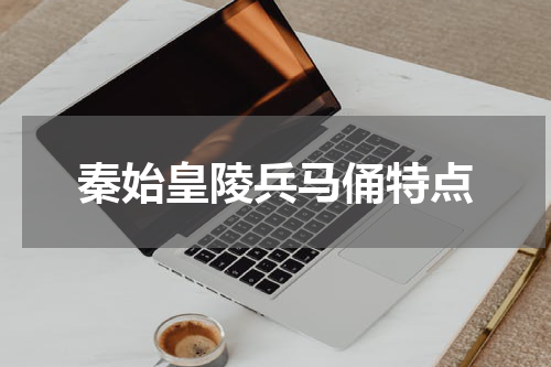 秦始皇陵兵马俑特点