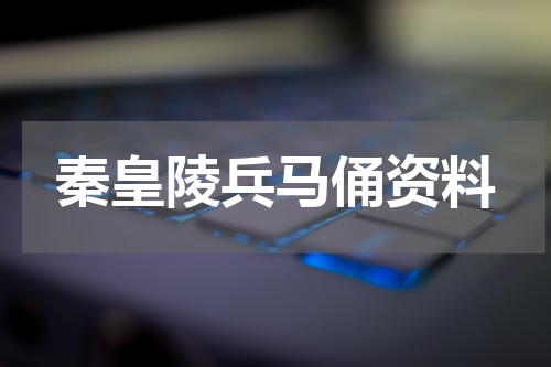 秦皇陵兵马俑资料