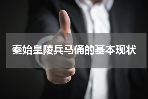 秦始皇陵兵马俑的基本现状