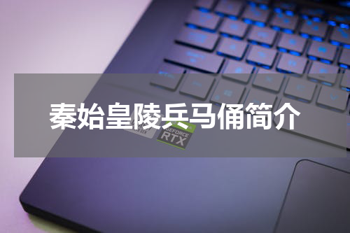 秦始皇陵兵马俑简介