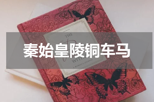 秦始皇陵铜车马