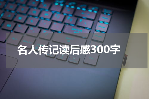 名人传记读后感300字