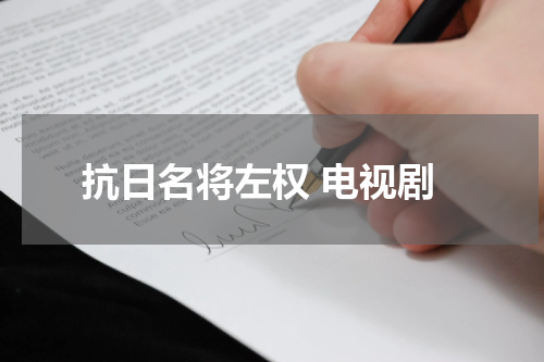 抗日名将左权 电视剧