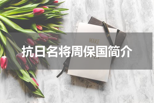 抗日名将周保国简介
