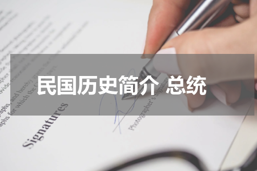 民国历史简介 总统