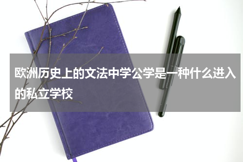 欧洲历史上的文法中学公学是一种什么进入的私立学校