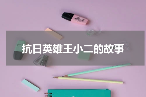 抗日英雄王小二的故事