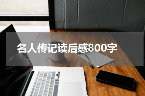 名人传记读后感800字