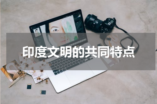 印度文明的共同特点
