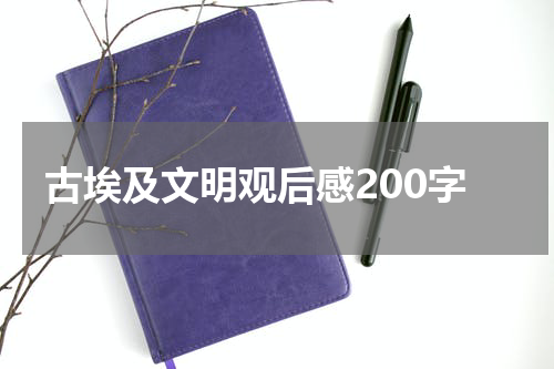古埃及文明观后感200字